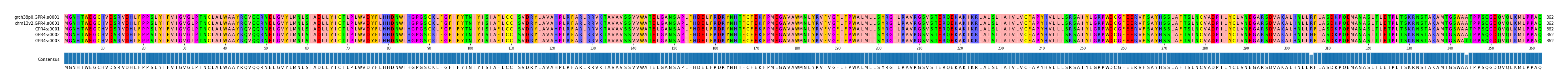 Multiple Alignments (by translate haplotype frequency)