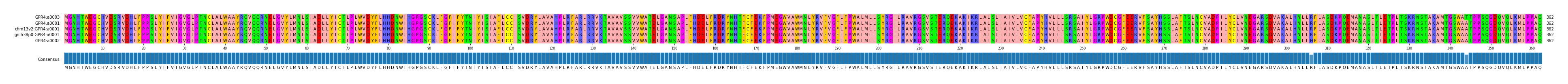 Multiple Alignments (by translate haplotype similarity)