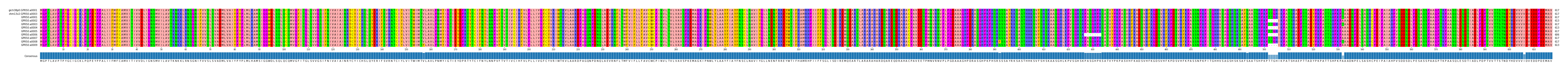 Multiple Alignments (by translate haplotype frequency)