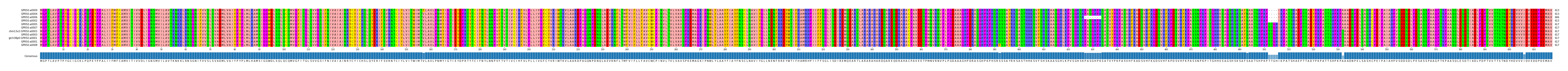 Multiple Alignments (by translate haplotype similarity)