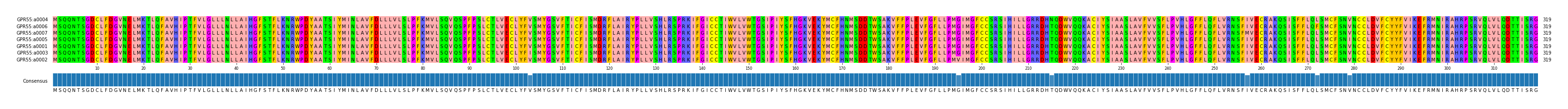 Multiple Alignments (by translate haplotype similarity)