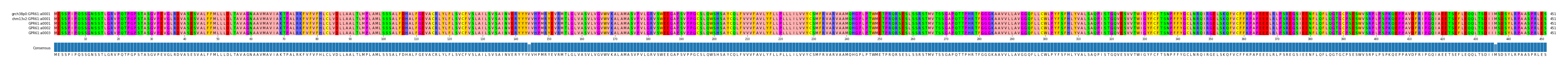 Multiple Alignments (by translate haplotype frequency)