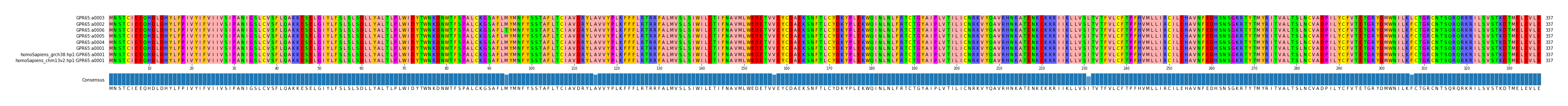 Multiple Alignments (by translate haplotype similarity)