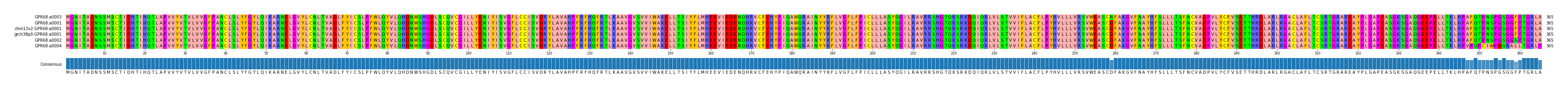Multiple Alignments (by translate haplotype similarity)