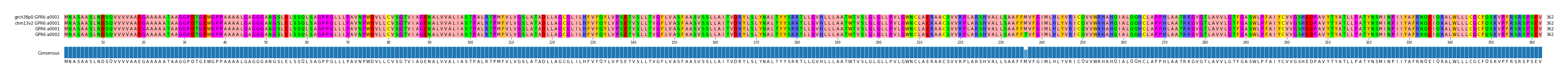 Multiple Alignments (by translate haplotype similarity)