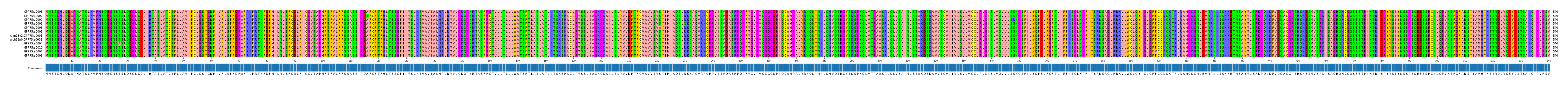 Multiple Alignments (by translate haplotype similarity)