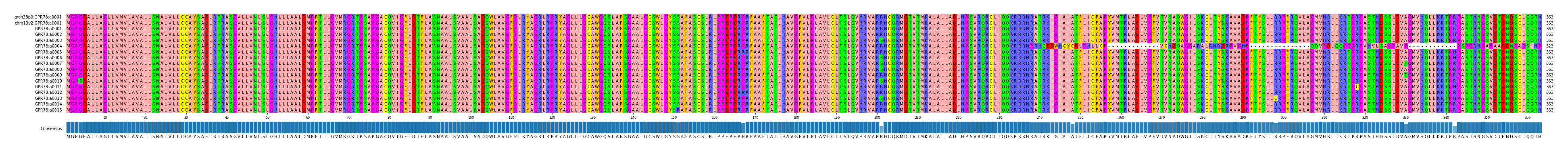 Multiple Alignments (by translate haplotype frequency)