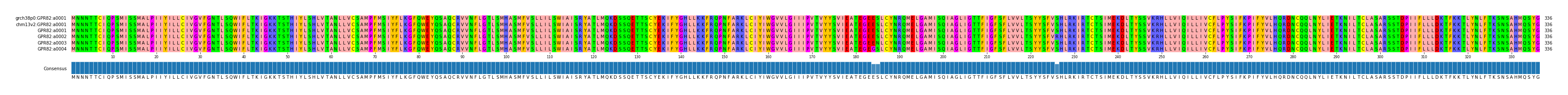Multiple Alignments (by translate haplotype frequency)