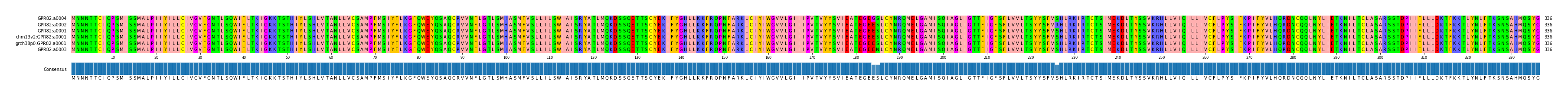 Multiple Alignments (by translate haplotype similarity)