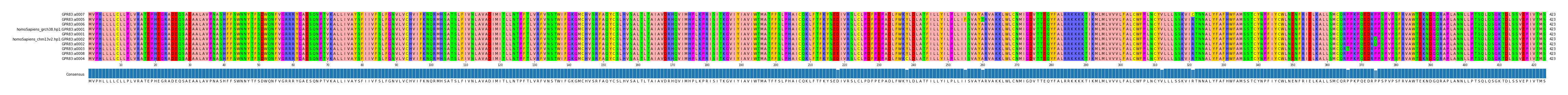 Multiple Alignments (by translate haplotype similarity)