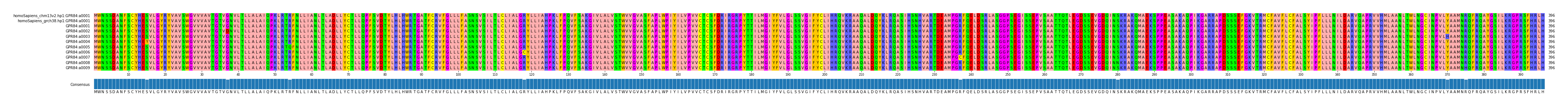 Multiple Alignments (by translate haplotype frequency)