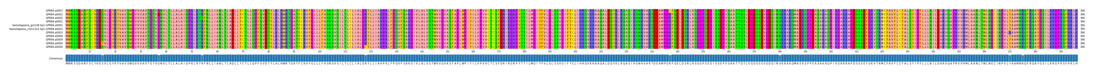 Multiple Alignments (by translate haplotype similarity)