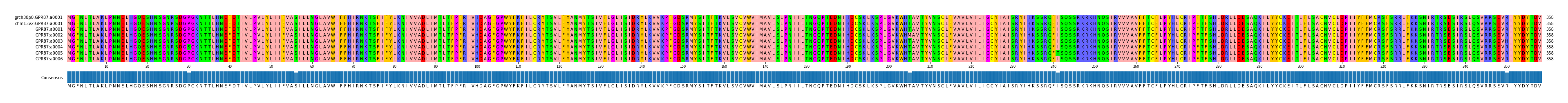 Multiple Alignments (by translate haplotype frequency)