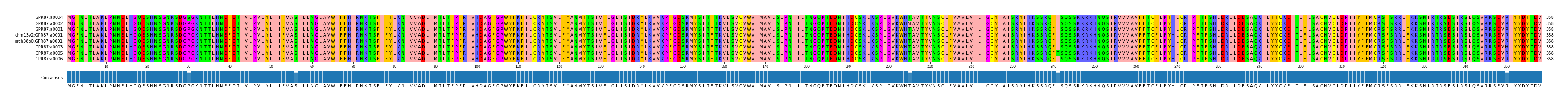 Multiple Alignments (by translate haplotype similarity)