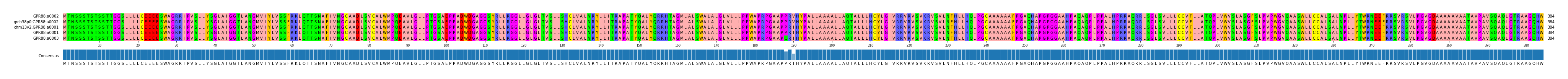 Multiple Alignments (by translate haplotype similarity)
