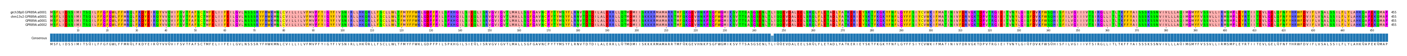 Multiple Alignments (by translate haplotype similarity)