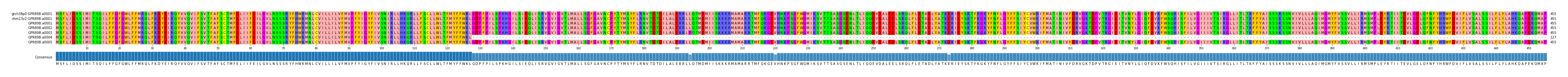 Multiple Alignments (by translate haplotype frequency)