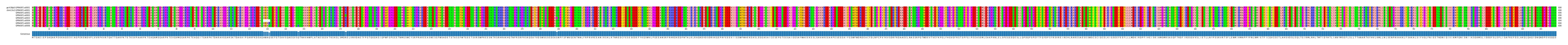 Multiple Alignments (by translate haplotype frequency)