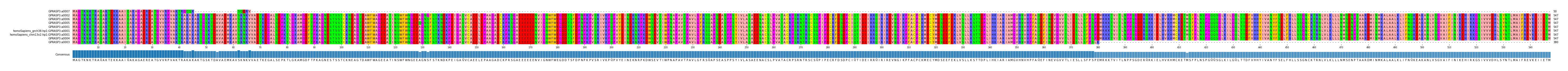 Multiple Alignments (by translate haplotype similarity)