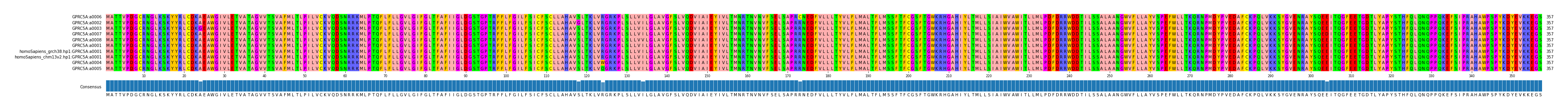 Multiple Alignments (by translate haplotype similarity)