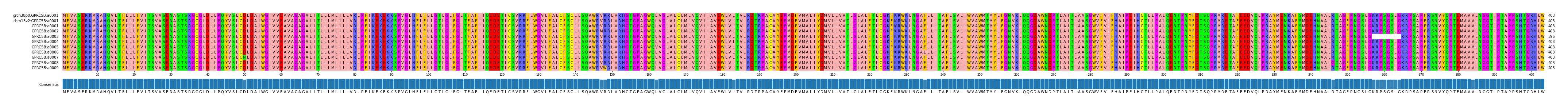 Multiple Alignments (by translate haplotype frequency)