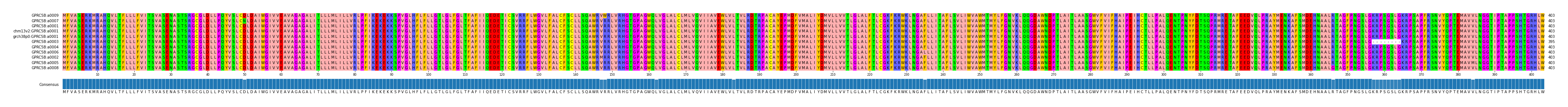 Multiple Alignments (by translate haplotype similarity)