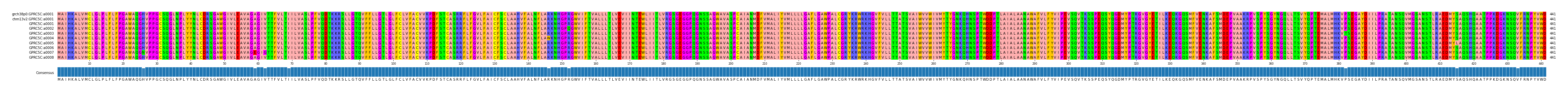 Multiple Alignments (by translate haplotype frequency)