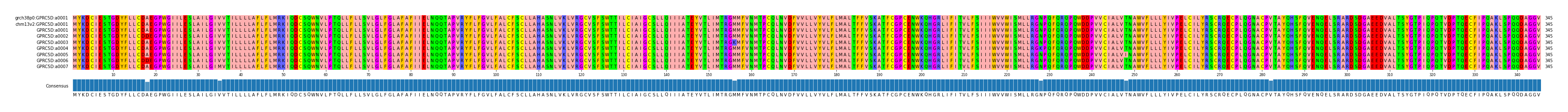 Multiple Alignments (by translate haplotype frequency)