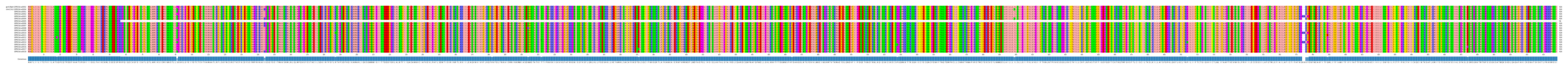 Multiple Alignments (by translate haplotype frequency)