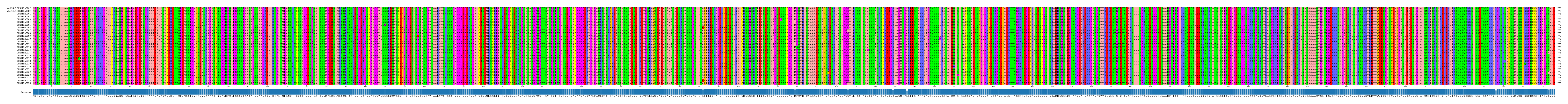 Multiple Alignments (by translate haplotype frequency)