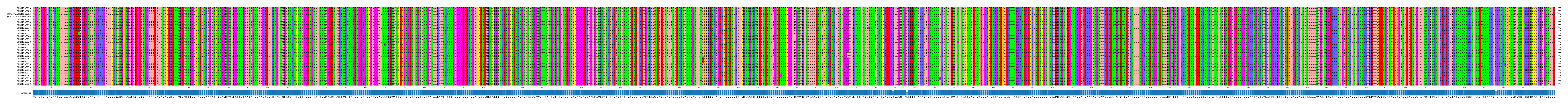 Multiple Alignments (by translate haplotype similarity)