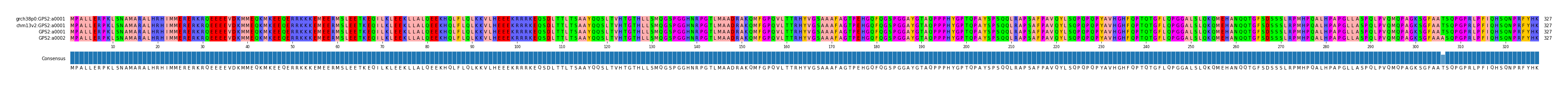 Multiple Alignments (by translate haplotype similarity)