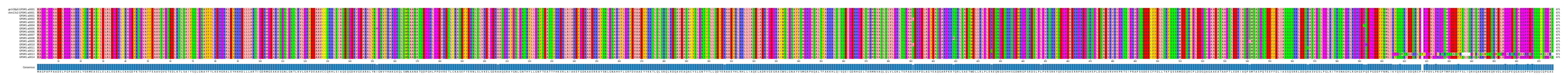 Multiple Alignments (by translate haplotype frequency)