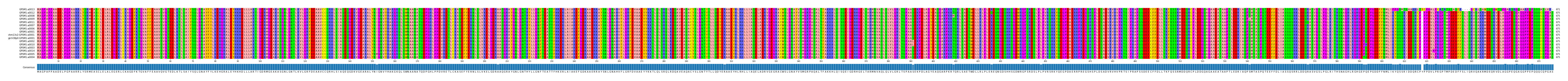 Multiple Alignments (by translate haplotype similarity)