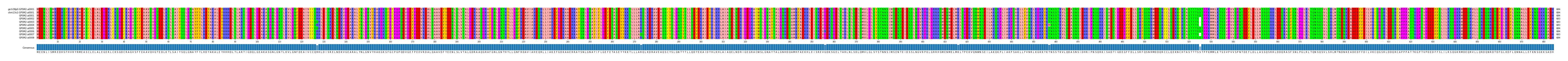 Multiple Alignments (by translate haplotype frequency)