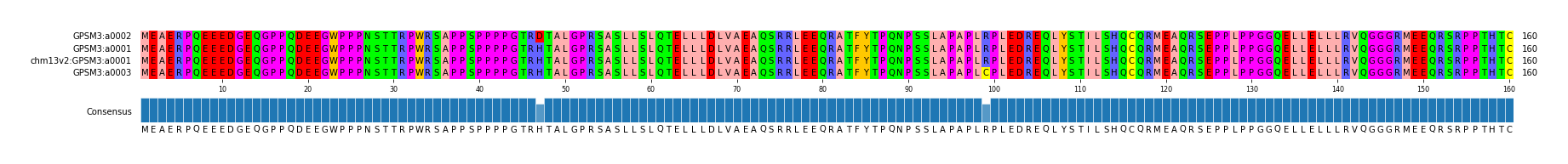 Multiple Alignments (by translate haplotype similarity)