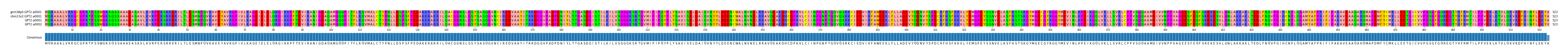 Multiple Alignments (by translate haplotype similarity)