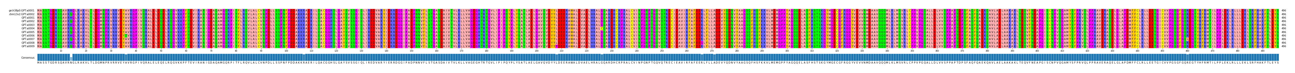 Multiple Alignments (by translate haplotype frequency)