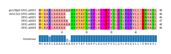 Multiple Alignments (by translate haplotype frequency)