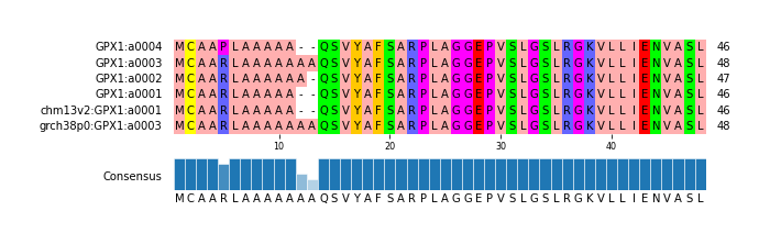 Multiple Alignments (by translate haplotype similarity)