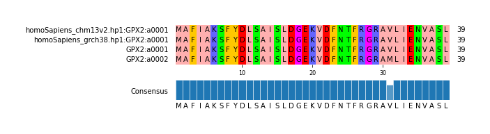 Multiple Alignments (by translate haplotype frequency)