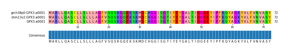 Multiple Alignments (by translate haplotype similarity)