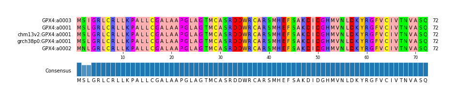 Multiple Alignments (by translate haplotype similarity)