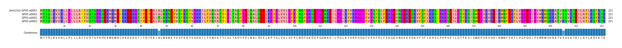 Multiple Alignments (by translate haplotype frequency)