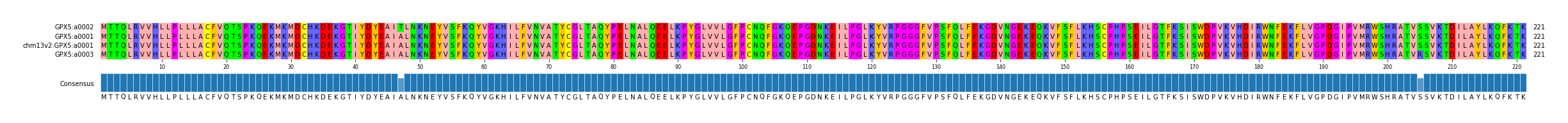 Multiple Alignments (by translate haplotype similarity)