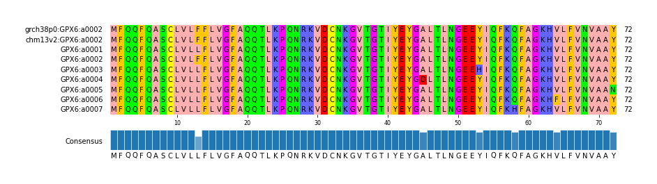 Multiple Alignments (by translate haplotype frequency)
