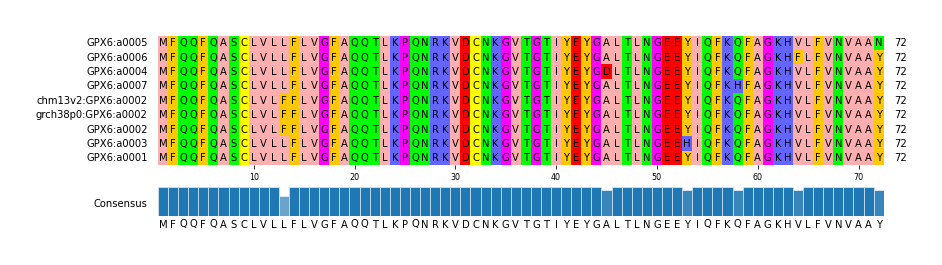 Multiple Alignments (by translate haplotype similarity)