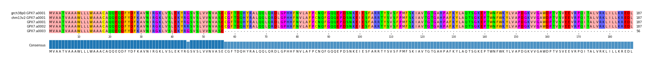 Multiple Alignments (by translate haplotype frequency)