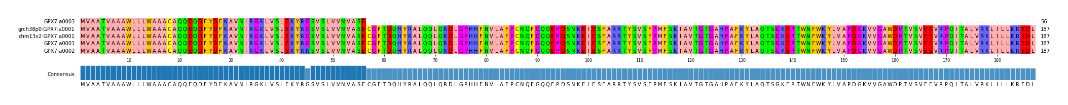 Multiple Alignments (by translate haplotype similarity)