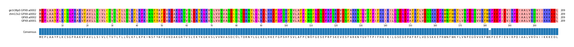 Multiple Alignments (by translate haplotype similarity)